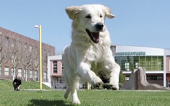 0A46F5B9-1372-4B74-8041-D0E5189DEA58